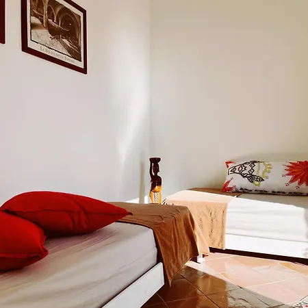 Il Cactus: Piccola Oasi In Paese Guest house *